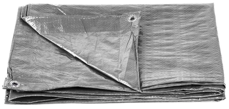 2173156.jpeg